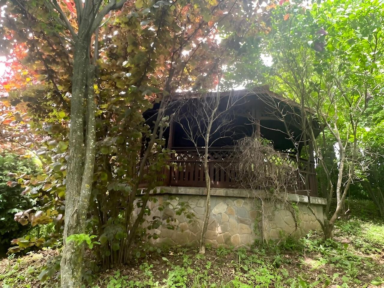 Wine Cellar Villa With Beautiful Garden In Sinaia - Busteni Poiana Tapului Esterno foto