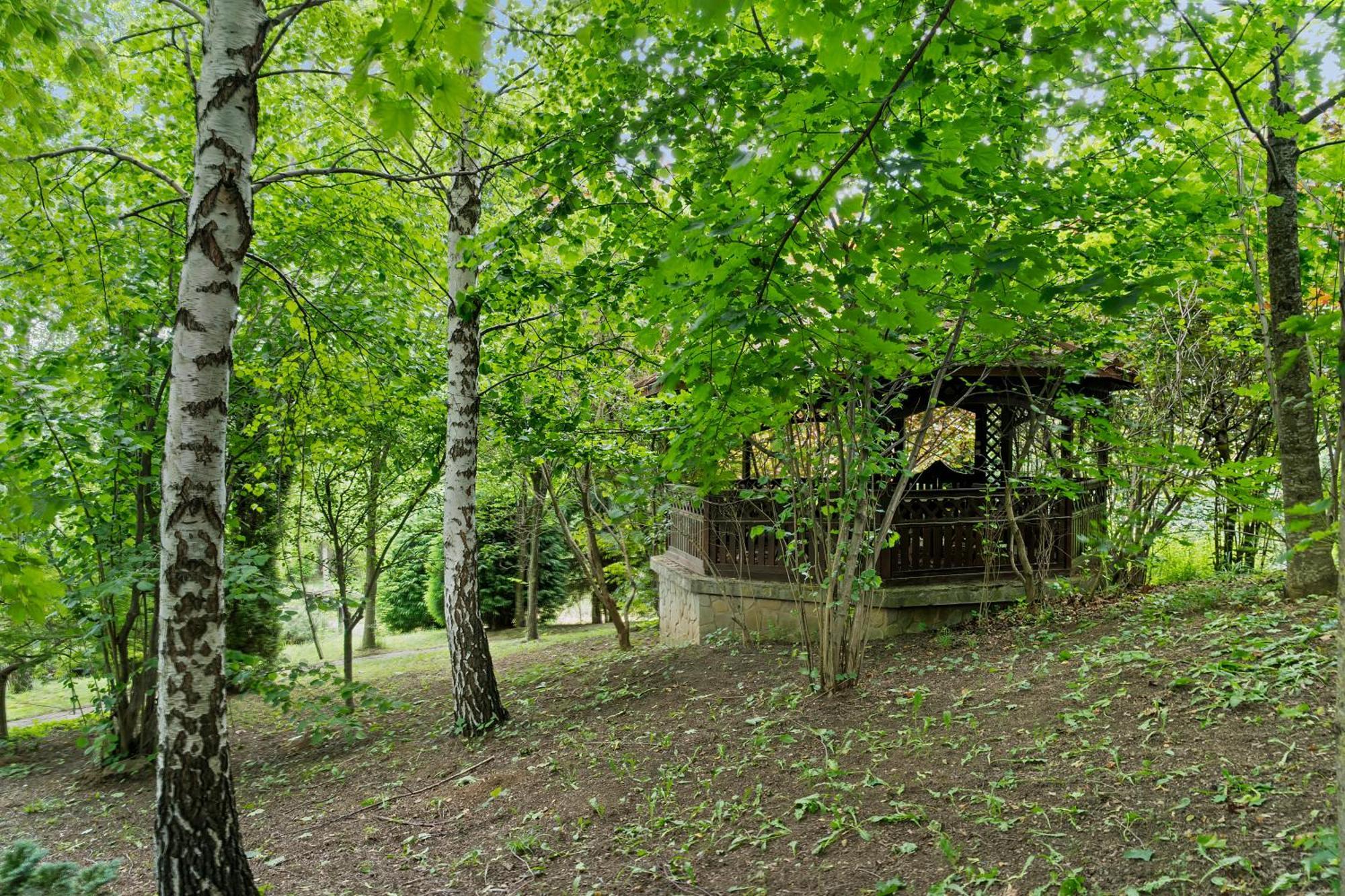 Wine Cellar Villa With Beautiful Garden In Sinaia - Busteni Poiana Tapului Esterno foto