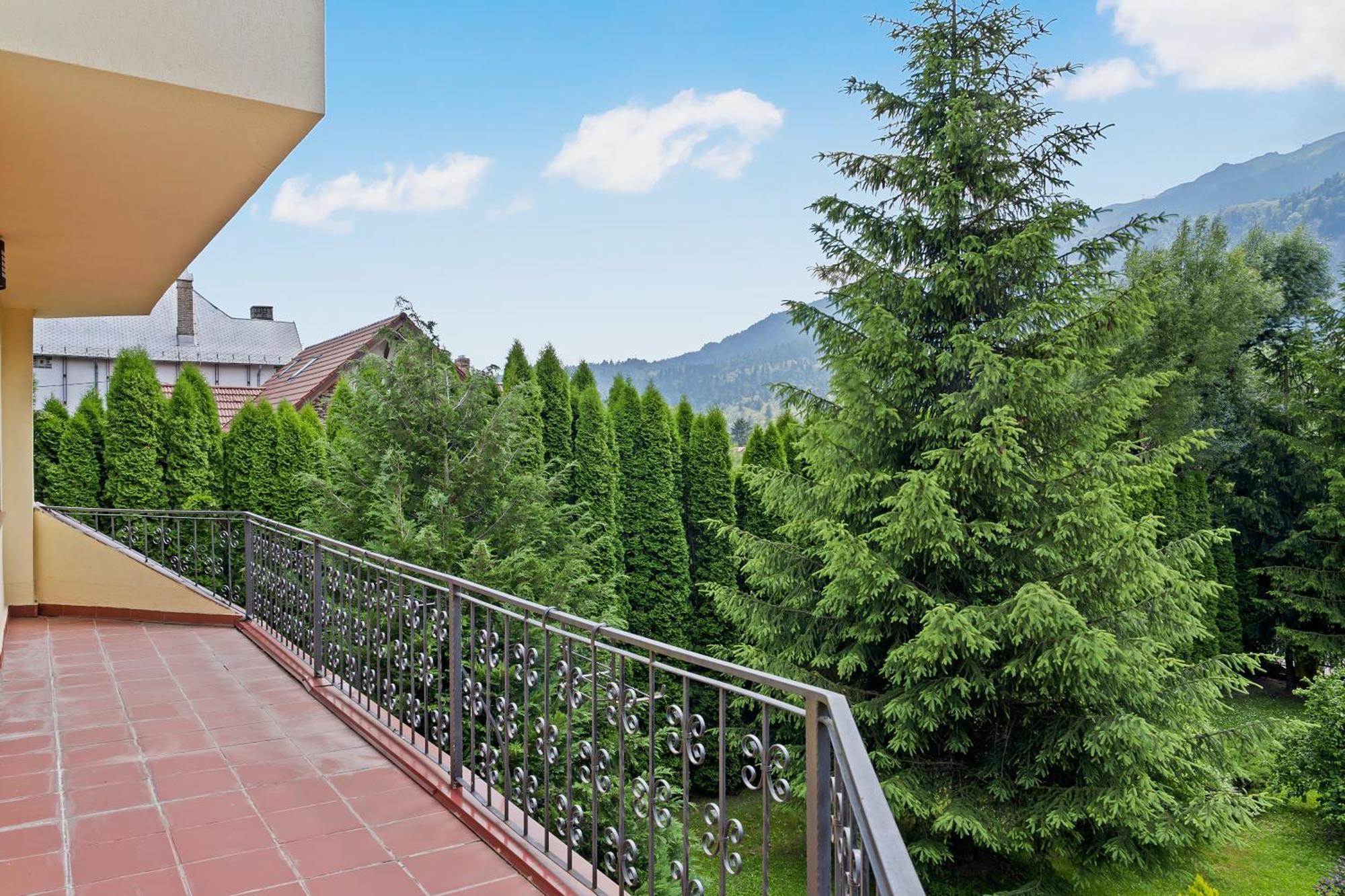 Wine Cellar Villa With Beautiful Garden In Sinaia - Busteni Poiana Tapului Esterno foto