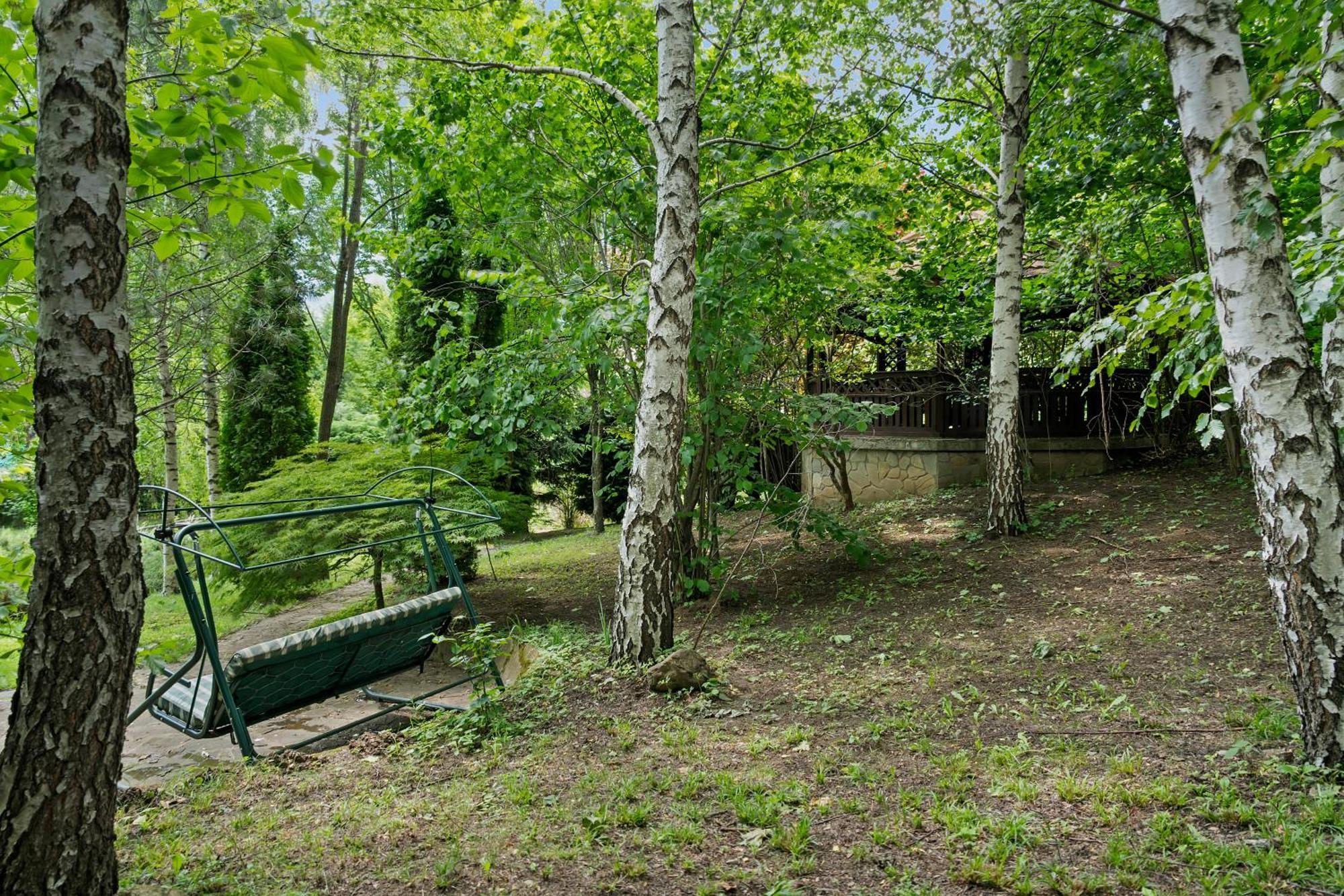 Wine Cellar Villa With Beautiful Garden In Sinaia - Busteni Poiana Tapului Esterno foto