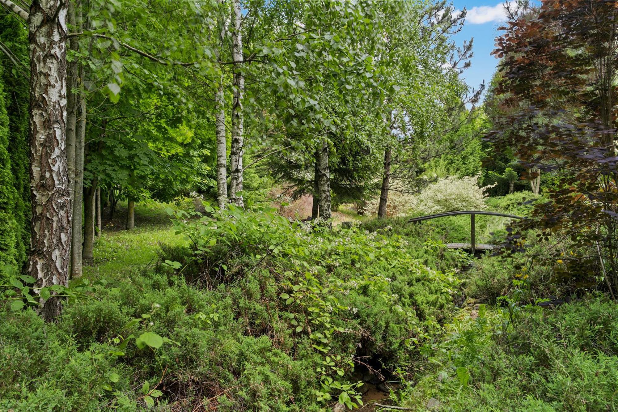 Wine Cellar Villa With Beautiful Garden In Sinaia - Busteni Poiana Tapului Esterno foto